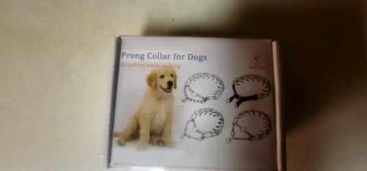 Dog Collar 