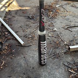 Baseball Bat 
