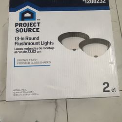 PROJECT SOURCE FLUSHMOUNT CEILING FIXTURE 2ct #1288232