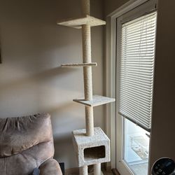 Cat Tree