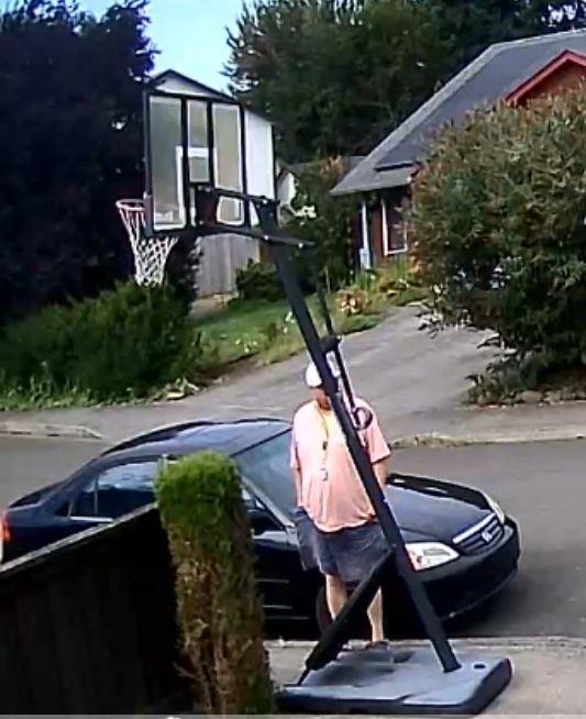 Basketball Hoop