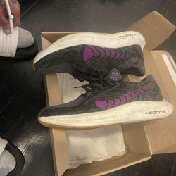 Pegasus Turbo Next Nature