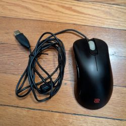 BenQ Zowie EC1-A Ergonic Competitive Gaming Mouse Wired Black 