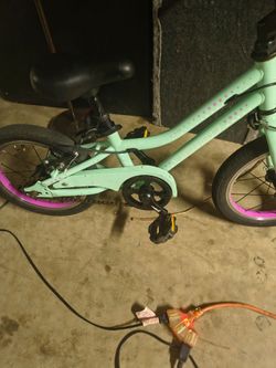 Guardian kids bike