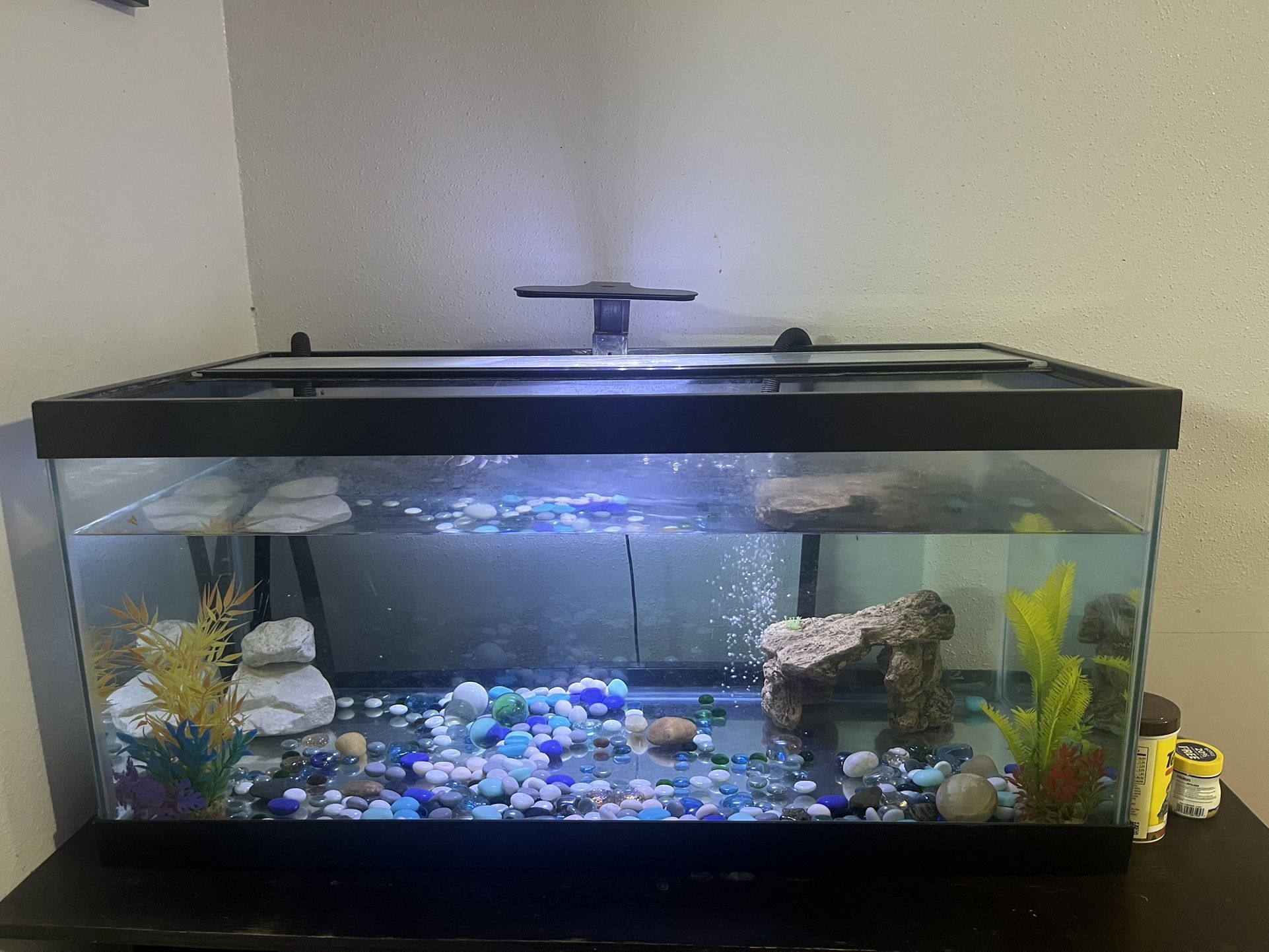 40 Gallon Fish Tank