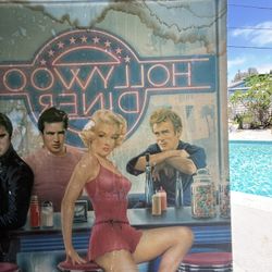 Cardboard, Marilyn Monroe, James Dean Elvis Presley Water Damage