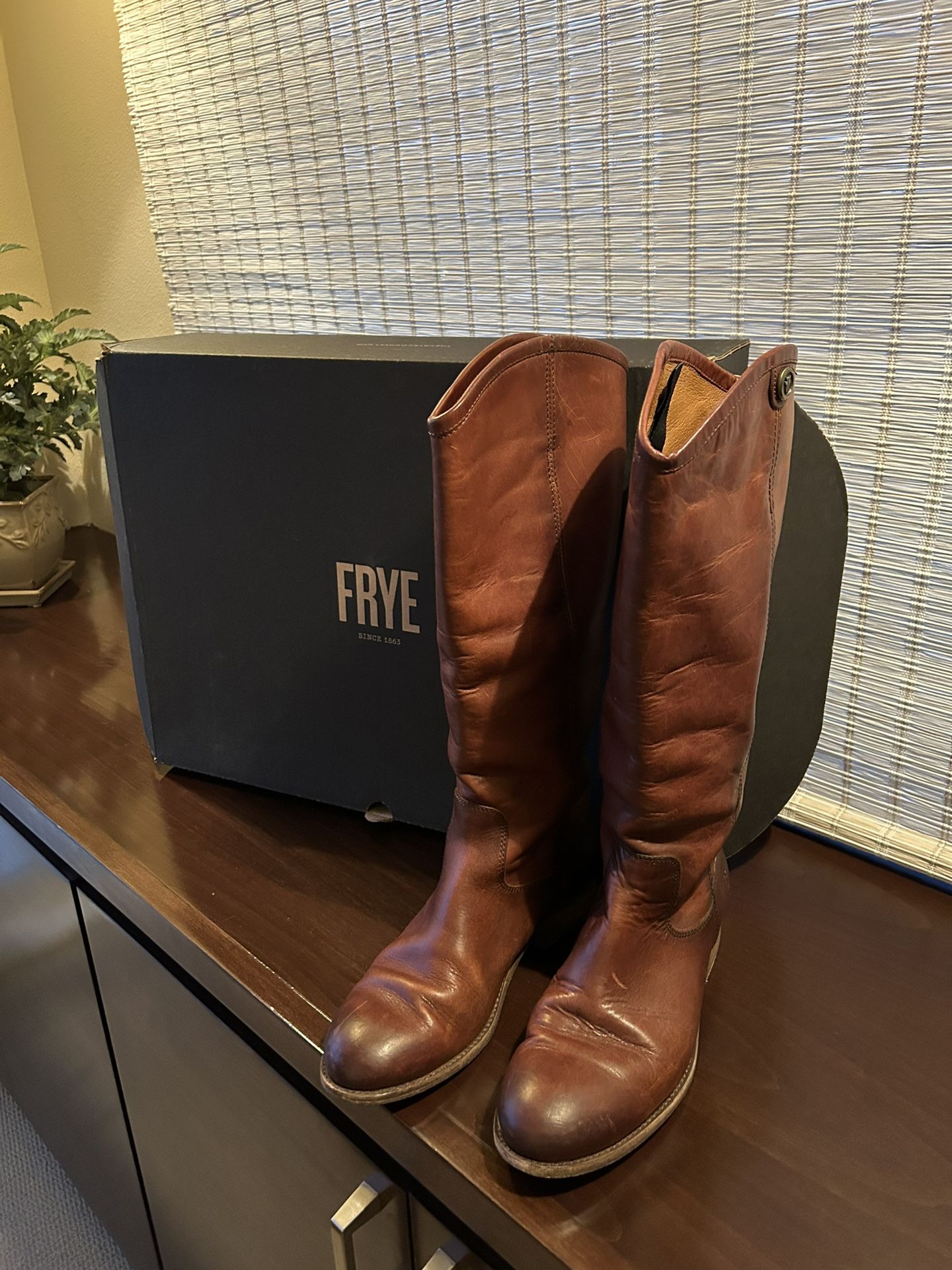 Frye Boots