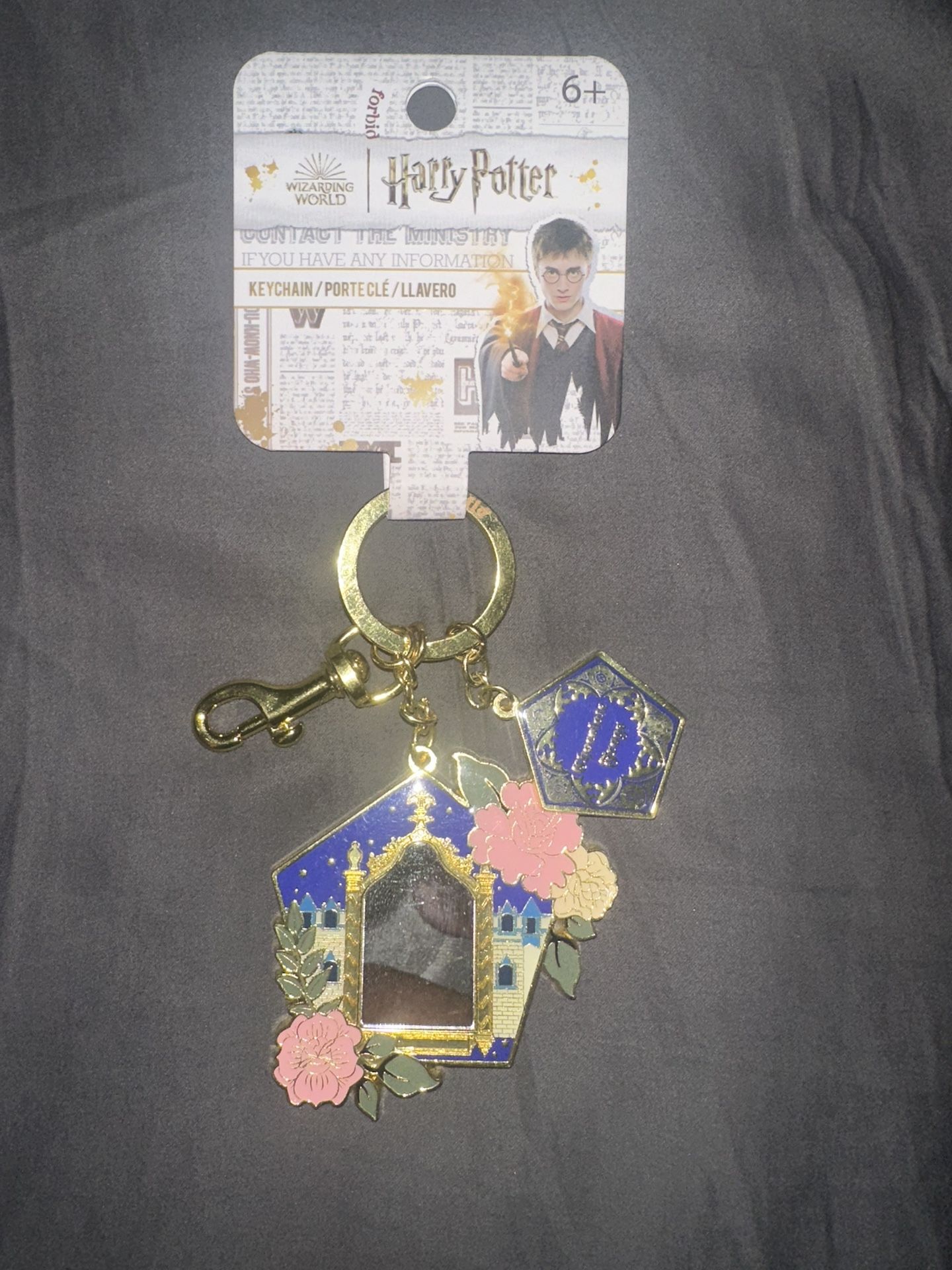 Harry Potter Lounged Chocolate Frog Multi Charms Keychain Mirror