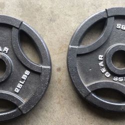 Olympic Weights 25Lbs Set