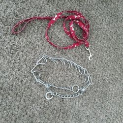 Training Collar And Leash 