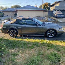 2001 Ford Mustang