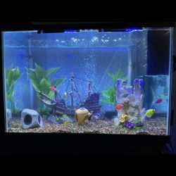 20-Gallon Fish Tank with Full Setup – No Fish