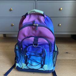 Pottery Barn  Backpack With Roller 