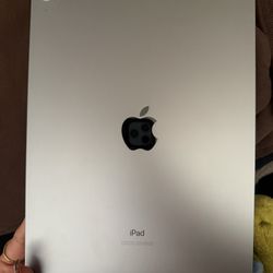 Ipad Air 4th Gen (needs screen replacement) 