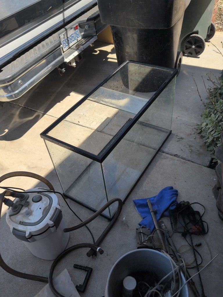Fish Tank Set Up