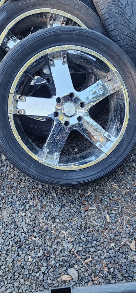 22" Momo's