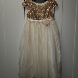 Flower Girl or Jr Bridesmaid Dress
