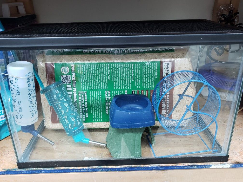 Hamster 10 top gallon tank