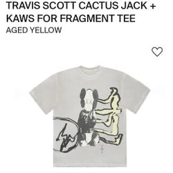 Travis Scott Cactus Jack Kaws T-Shirt Size Medium