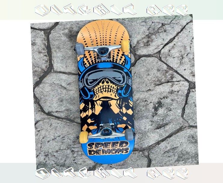 New Fresh Skateboard Perfect for Excitement Seekers and Smooth Riders chance half