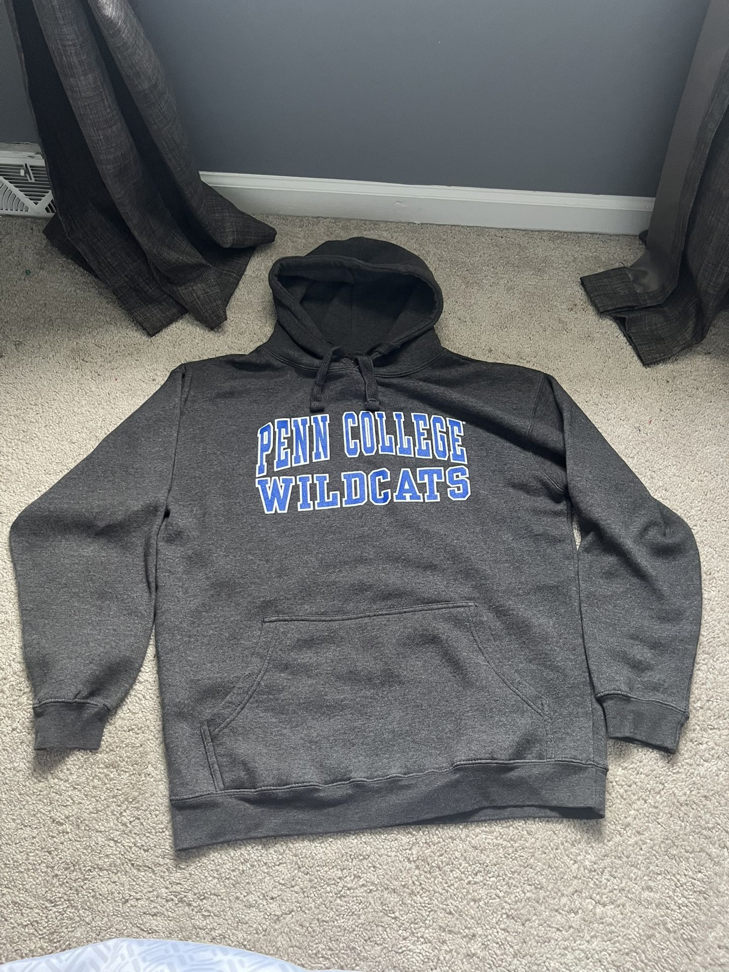 Penn College Wildcats Vintage Hoodie