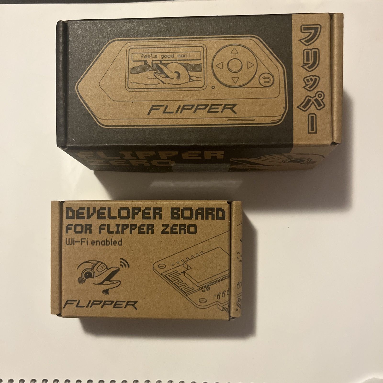 Flipper Zero And Wi-Fi Divy Board