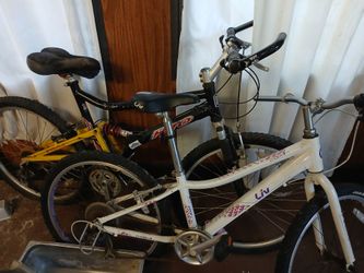 Free old bikes