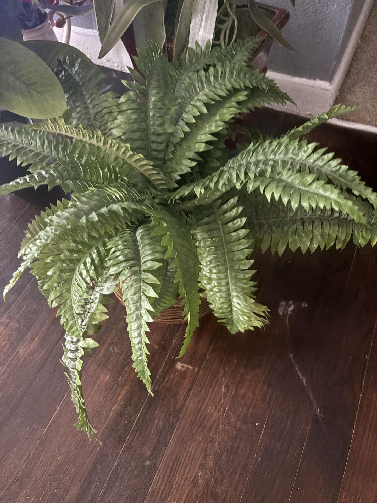 Fake Plants 2$ Each