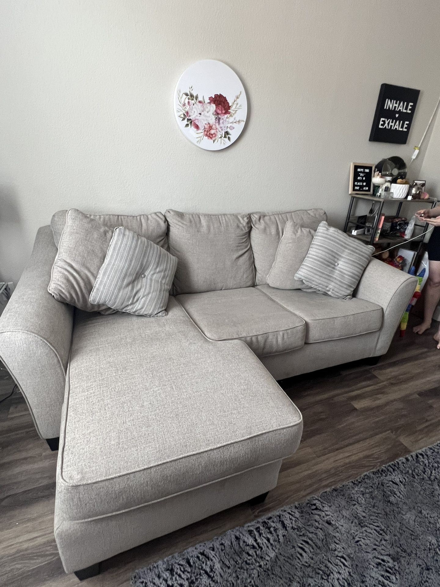 Light Grey Sectional Couch With Pull Out Bed