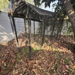 Dog Cage