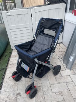Big Dog Stroller Perfect For Aging Dog