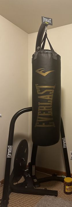 Everlast Punching Bad With Speed Bag
