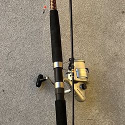 Shakespeare Ugly Stick 11’ Fishing Rod and Shakespeare 7000SS Platinum Reel  for Sale in Jacksonville, FL - OfferUp