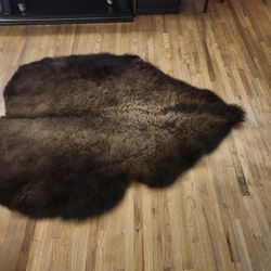 Bison Robe