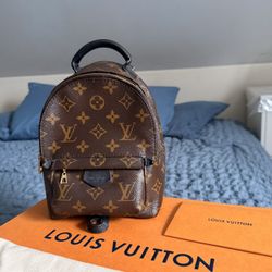 Louis Vuitton Palm Springs Mini