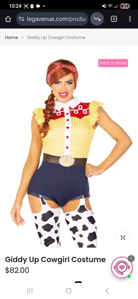 Cowgirl Costume Used as Jessie From Toy Story