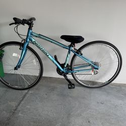 Nishiki Manitoba Road Bike