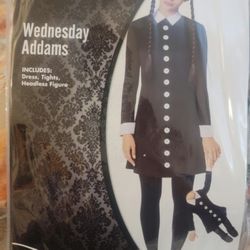 Wednesday Adam Halloween Costume