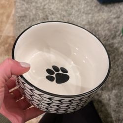 Dog Bowl