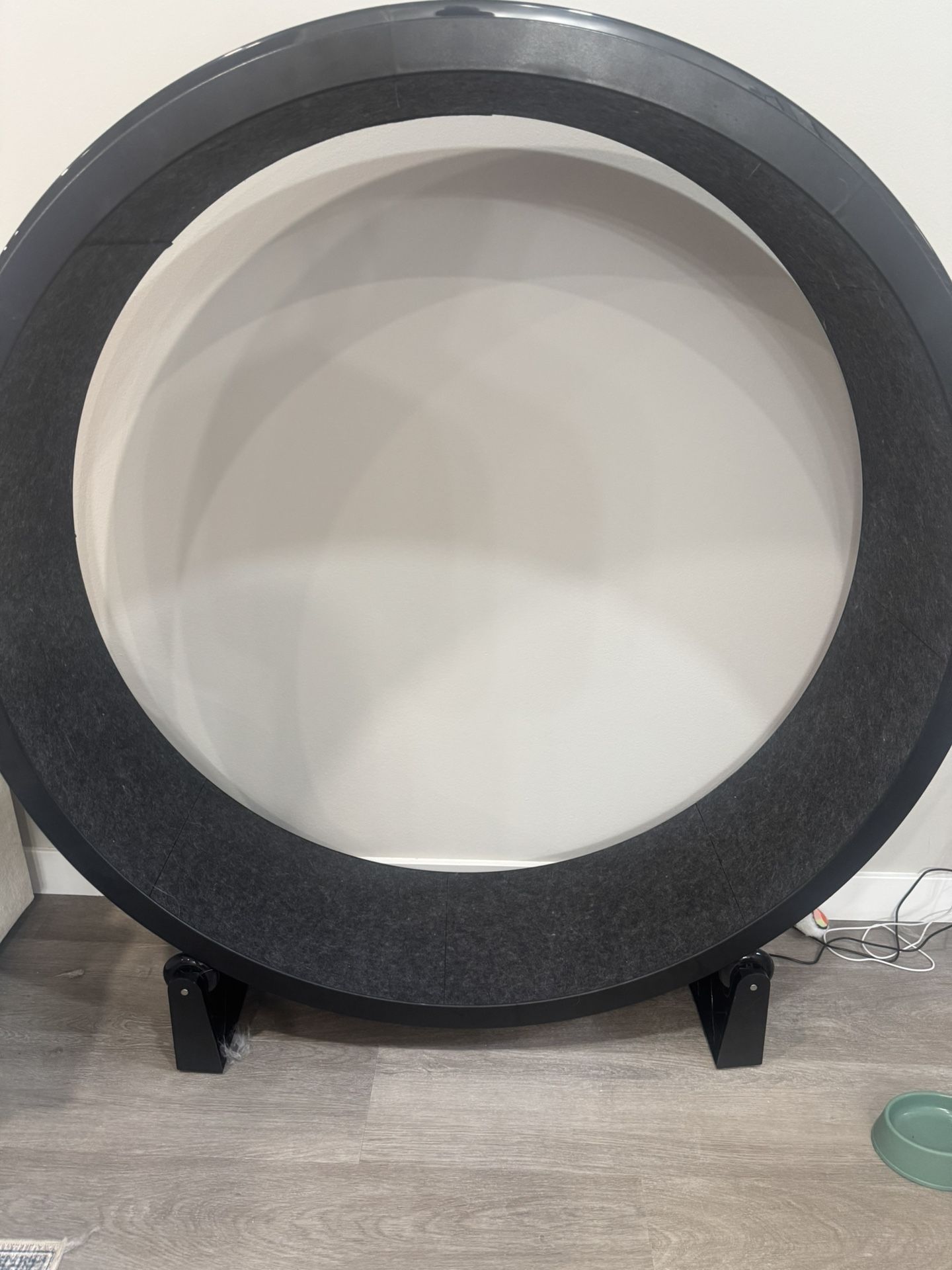 Cat Wheel