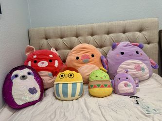 Large and small Squishmallows 