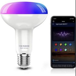 Smart LED Flood Light Bulb