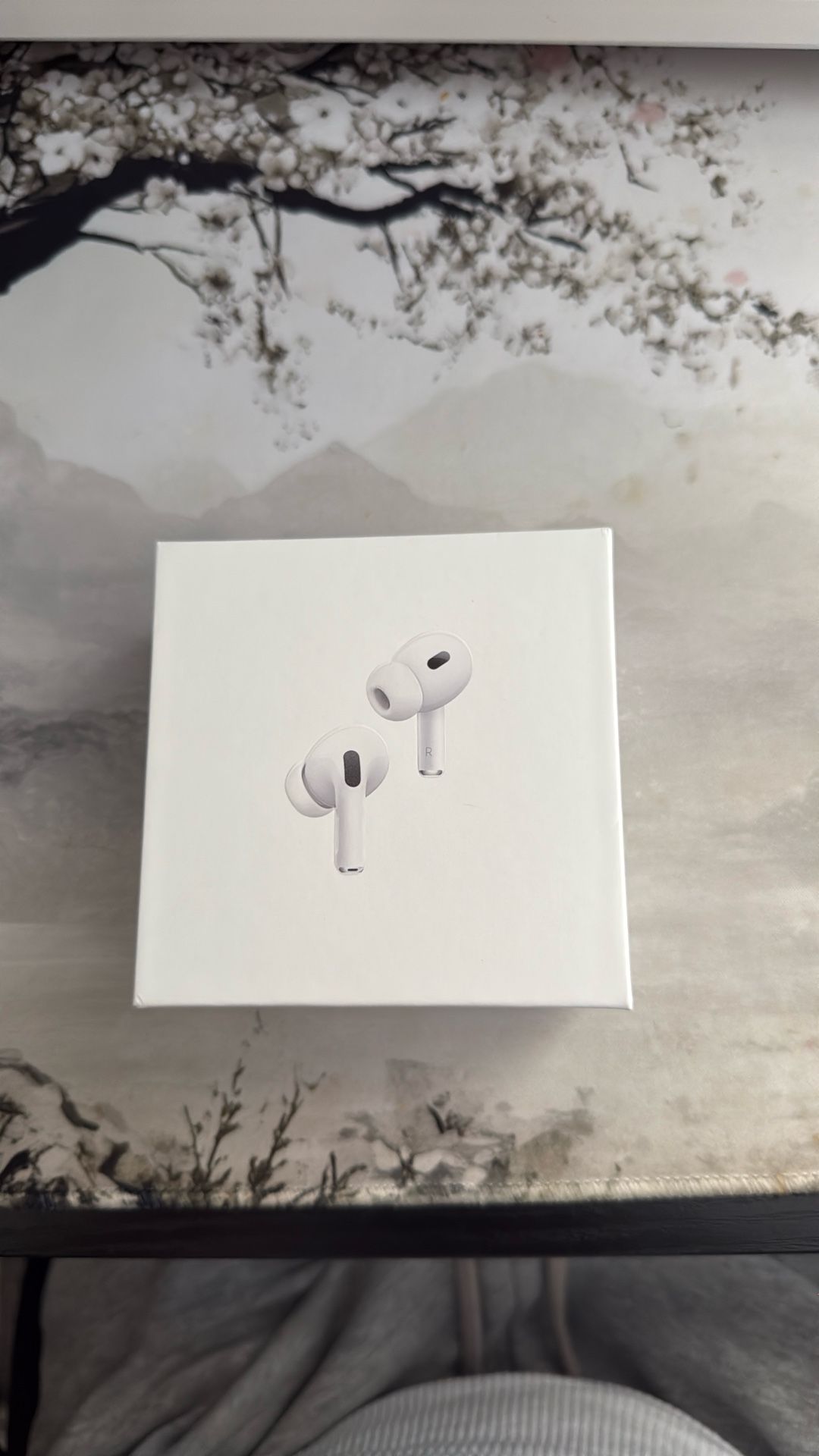 AirPod Pros (2nd Generation)