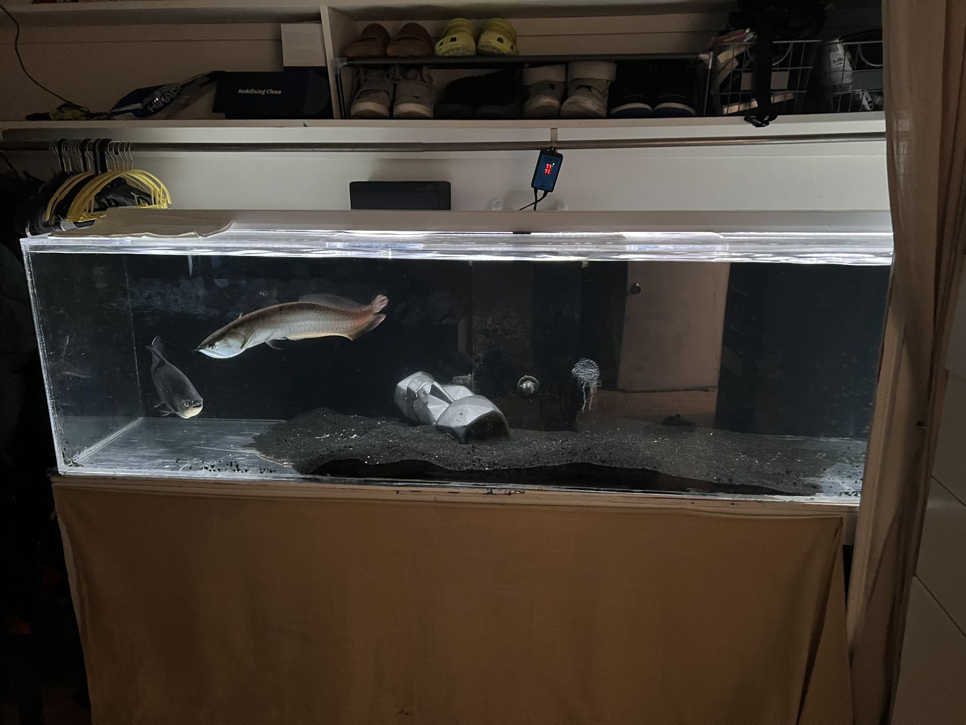 240 Gal Acrylic Aquarium/fish Tank