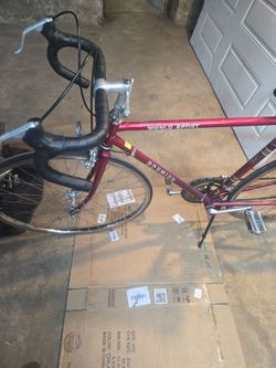 Schwinn  world sport