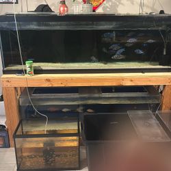 125g Glass Tank