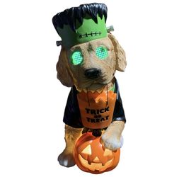 Member's Mark Pre-Lit Halloween Costume Pet Decor with LCD Eyes and LED Pumpkin Frankie Dog 