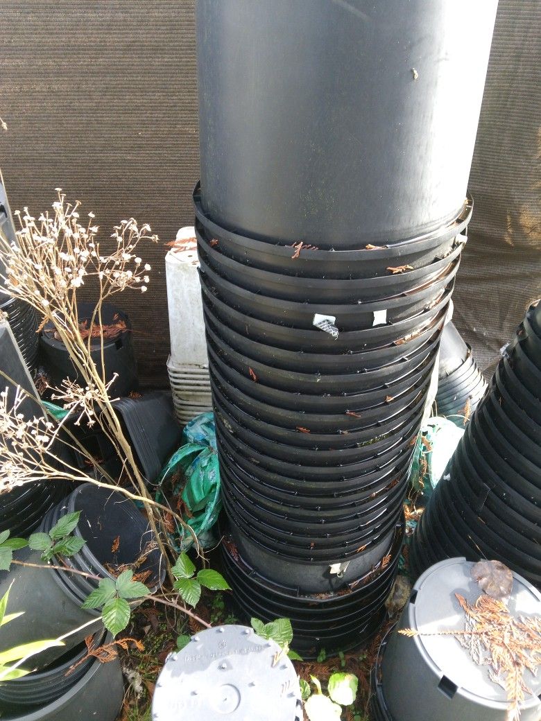 Growing Pots For Sale.