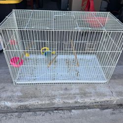 birdcage