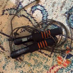 Renpo Smart Healthy Living Digital Jump Rope
